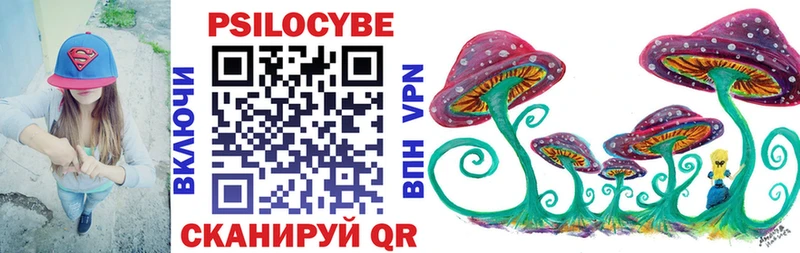 Галлюциногенные грибы Psilocybine cubensis  Снежногорск 